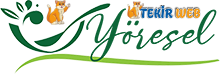 YÖRESEL 1